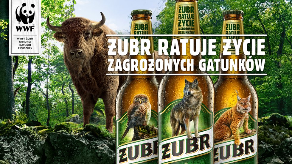 Piwo Żubr zmienia etykiety