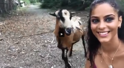 selfie z kozą