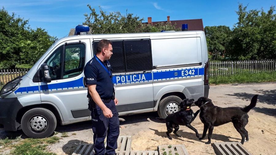 policjant zaadoptował psy