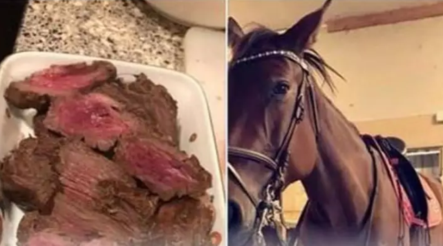 nastolatka zjadła własnego konia