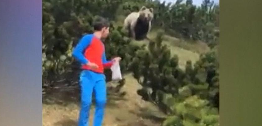 bliskie spotkanie z niedźwiedziem