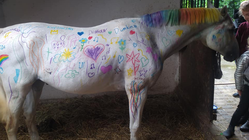 Dzieci pomalowały konia