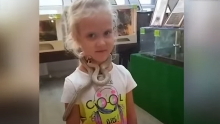 Wąż ugryzł 5-latkę w twarz
